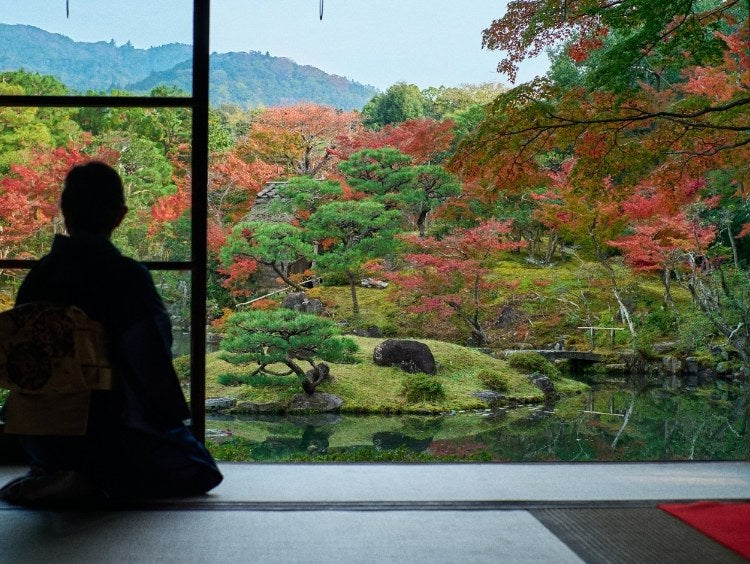 奈良の名勝庭園 依水園でお茶を点ててきました